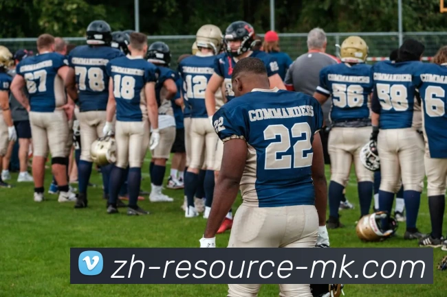 MK体育平台生态图